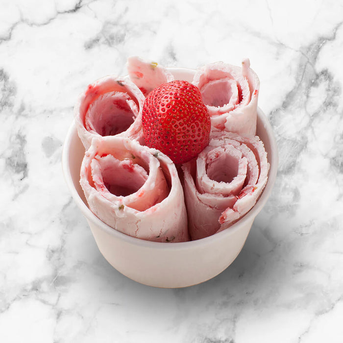 Whynter - Portable Instant Ice Cream Maker Frozen Pan Roller in Stainless Steel | ICR-300SS