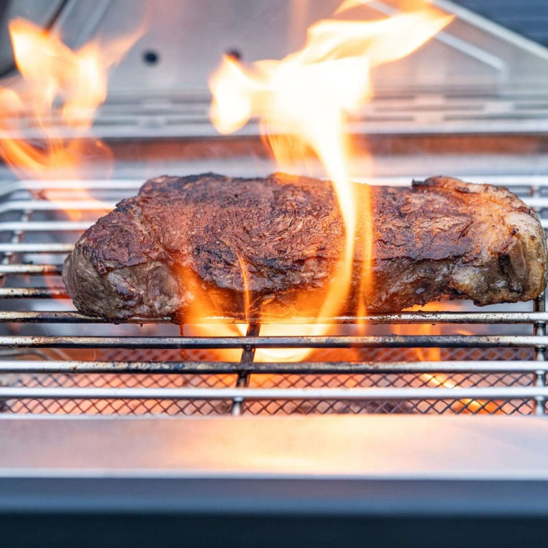 24367 | Stainless Infrared Propane Gas Grill Monument Grills