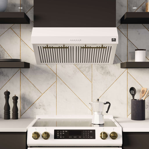 FORNO Premium 2-Piece Kitchen Bundle - Leonardo Espresso 30" White Range, 30" White Range Hood, FBDL-002-03US FORNO