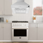 FORNO Orvieto 30'' Wall Mount Range Hood, FRHWM5094-30 FORNO