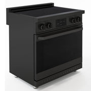 30″ Professional Induction Range – ORION Edition Induction Hardware
