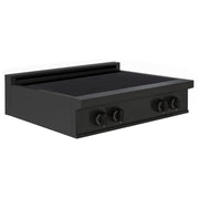 30″ Induction Cooktop – ORION Edition Induction Hardware