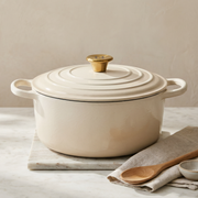 Alpha Enamel Collection 10” Cast Iron Dutch Oven - Stratus White Induction Hardware