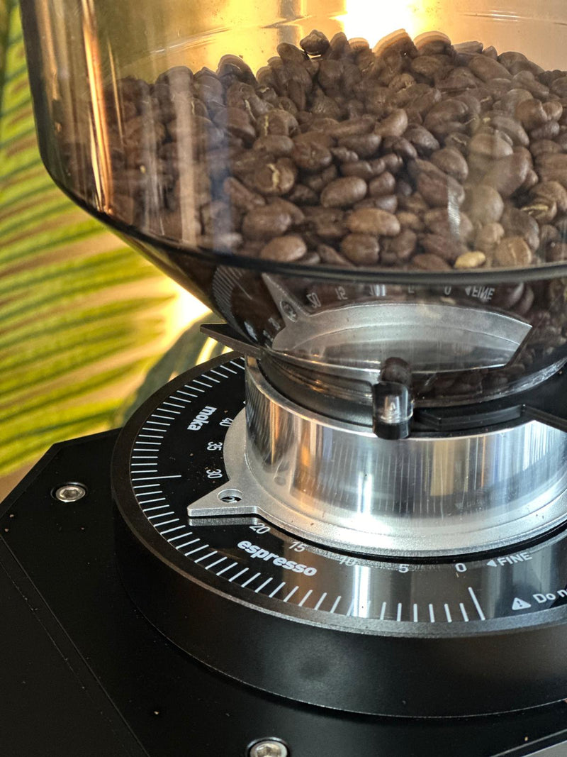 Turin ZF83 Commercial Espresso Grinder Espresso Outlet LLC