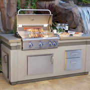 American Outdoor Grill 24 Inch Horizontal Single Access Door - CulinaryProfis