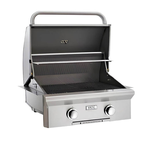 American Outdoor Grill T Series 24 Inch 2 Burner Portable Gas Grill - CulinaryProfis