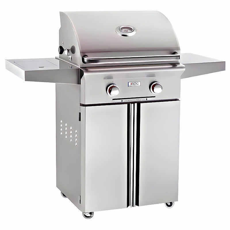 American Outdoor Grill T Series 24 Inch 2 Burner Portable Gas Grill - CulinaryProfis