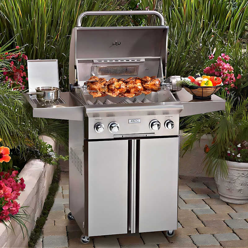 American Outdoor Grill T Series 24 Inch 2 Burner Portable Gas Grill With Side Burner - CulinaryProfis