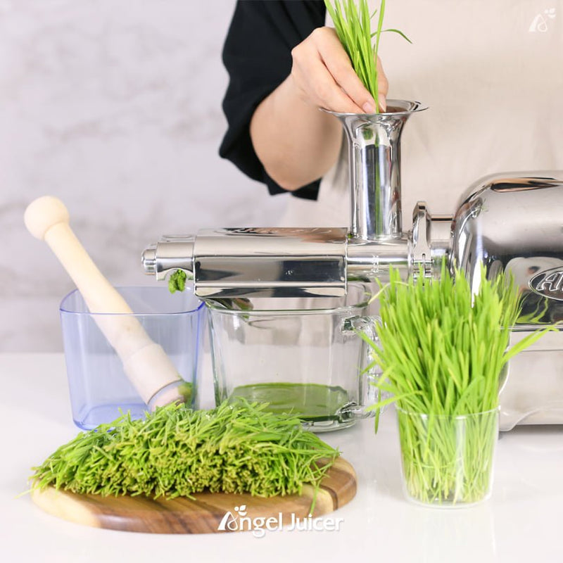 Angel Juicer Wheatgrass Housing Filter (WGH) - SUS - 304 & SUS - 316 Limited Edition - CulinaryProfis