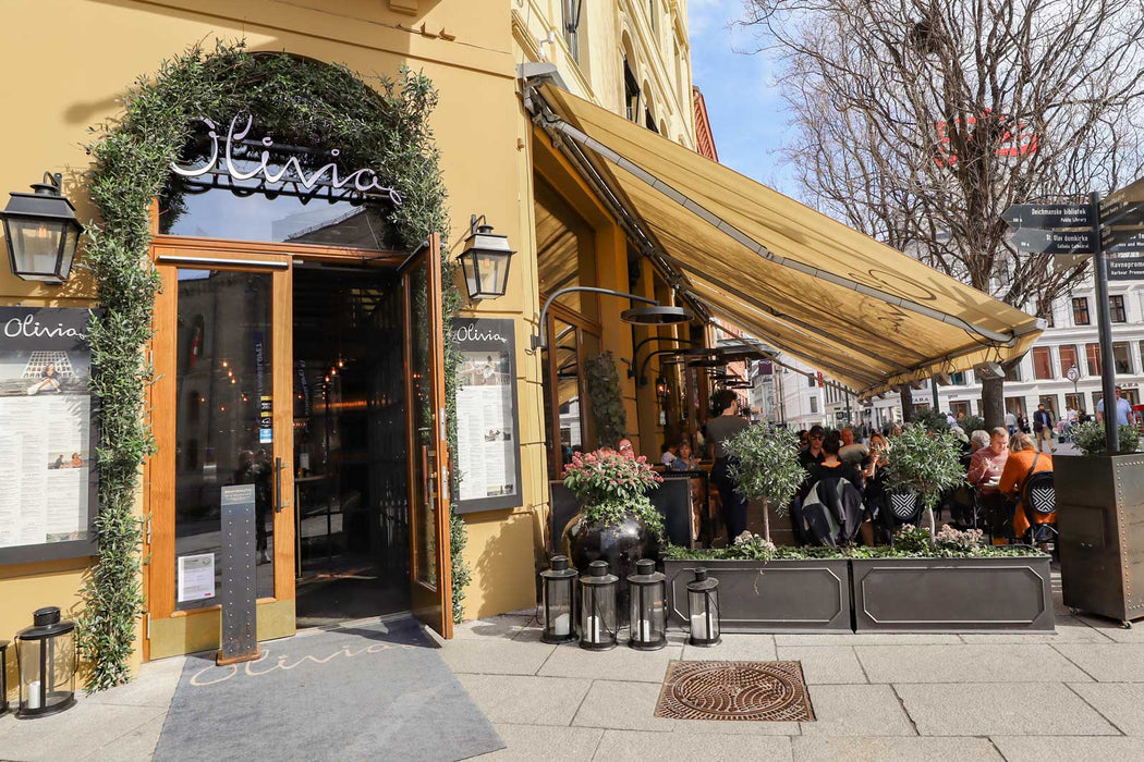 Bromic Heating - BH0920001 - 1 - Eclipse Smart - Heat - 2900 Watt Electric Heater and Light With Twin Pole - CulinaryProfis