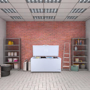 Avanti 17.2 cu. ft. Garage Ready Chest Freezer, White Avanti Products, LLC