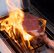 Eminence 405 | Chic Clearview® Smart Stainless Gas Grill Monument Grills