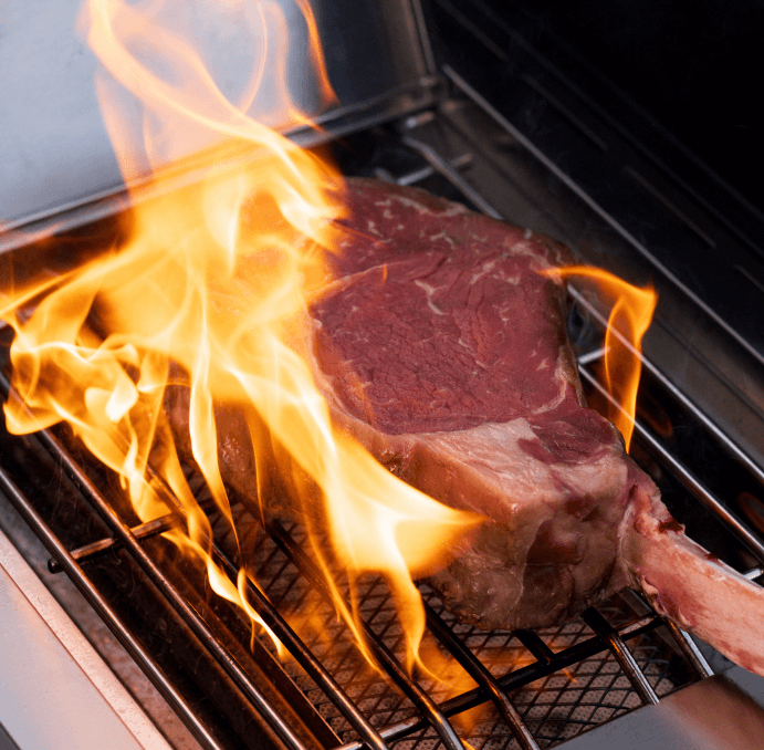 Eminence 405 | Chic Clearview® Smart Stainless Gas Grill Monument Grills