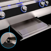 Fire Magic Echelon Diamond E1060i 48 - Inch Gas Grill with Analog Thermometer, Magic View Window, & Rotisserie - CulinaryProfis