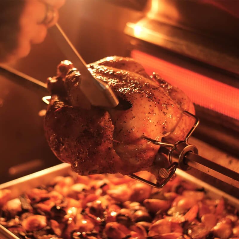 Fire Magic Echelon Diamond E1060s 48 - Inch Gas Grill w/ Power Burner, Rotisserie & Digital Thermometer - CulinaryProfis
