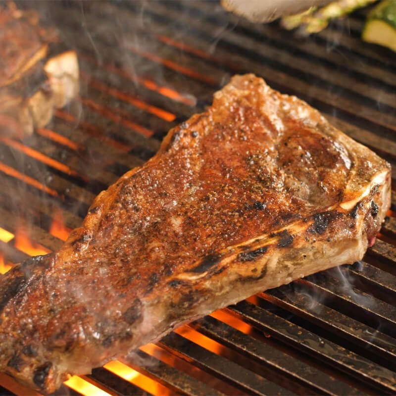 Fire Magic Echelon Diamond E1060s 48 - Inch Gas Grill w/ Power Burner, Rotisserie & Digital Thermometer - CulinaryProfis