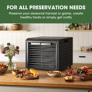 Excalibur 10 Tray Select Digital Dehydrator, in Stainless Steel Excalibur