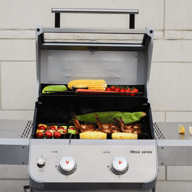 Mesa 200S | Foldable Stainless Gas Grill Monument Grills
