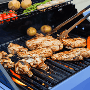Mesa 200S | Foldable Stainless Gas Grill Monument Grills