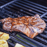 Mesa 305 | Stainless Propane Gas Grill Monument Grills