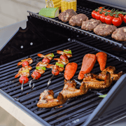 Mesa 305 | Stainless Propane Gas Grill Monument Grills