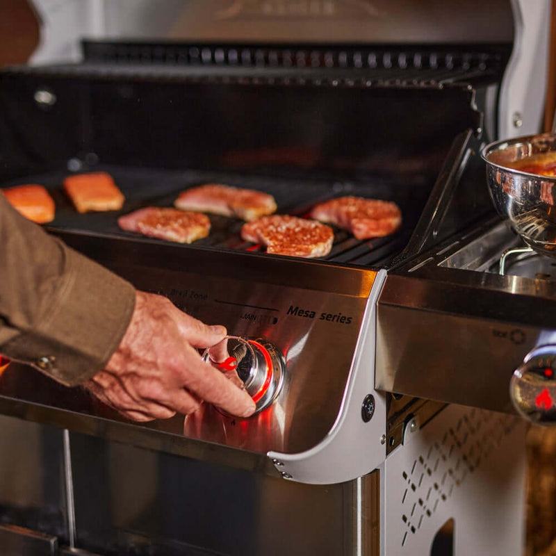 Mesa 415BZ | Stainless Propane Gas Grill Monument Grills