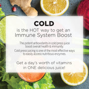 Omega Cold Press Masticating Horizontal Juicer with 3-Stage Auger (NC1000) Omega Juicers