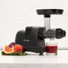 Omega J8006 80 RPM All - in - One Nutrition System Cold Press Juicer - CulinaryProfis