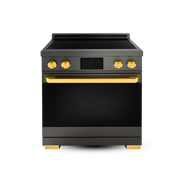 30″ Professional Induction Range – ORION Edition Induction Hardware