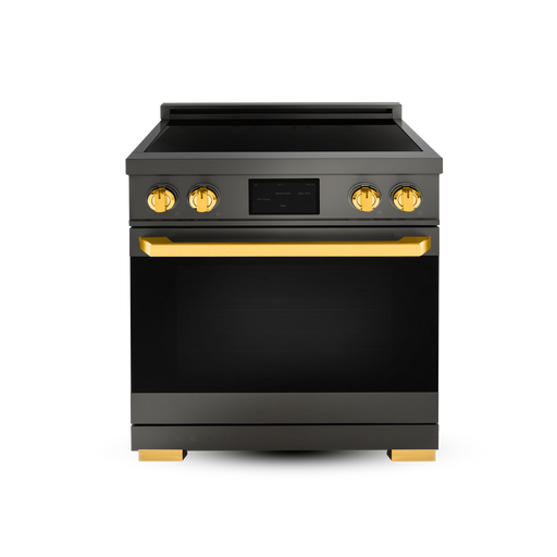 30″ Professional Induction Range – ORION Edition Induction Hardware