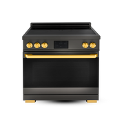 36″ Professional Induction Range – ORION Edition Induction Hardware