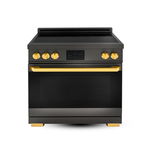 36″ Professional Induction Range – ORION Edition Induction Hardware