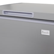 Avanti Garage Ready Convertible Chest Freezer Avanti Products, LLC