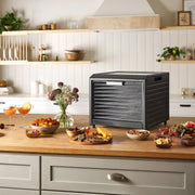 Excalibur 10 Tray Performance Digital Dehydrator, in Stainless Steel Excalibur