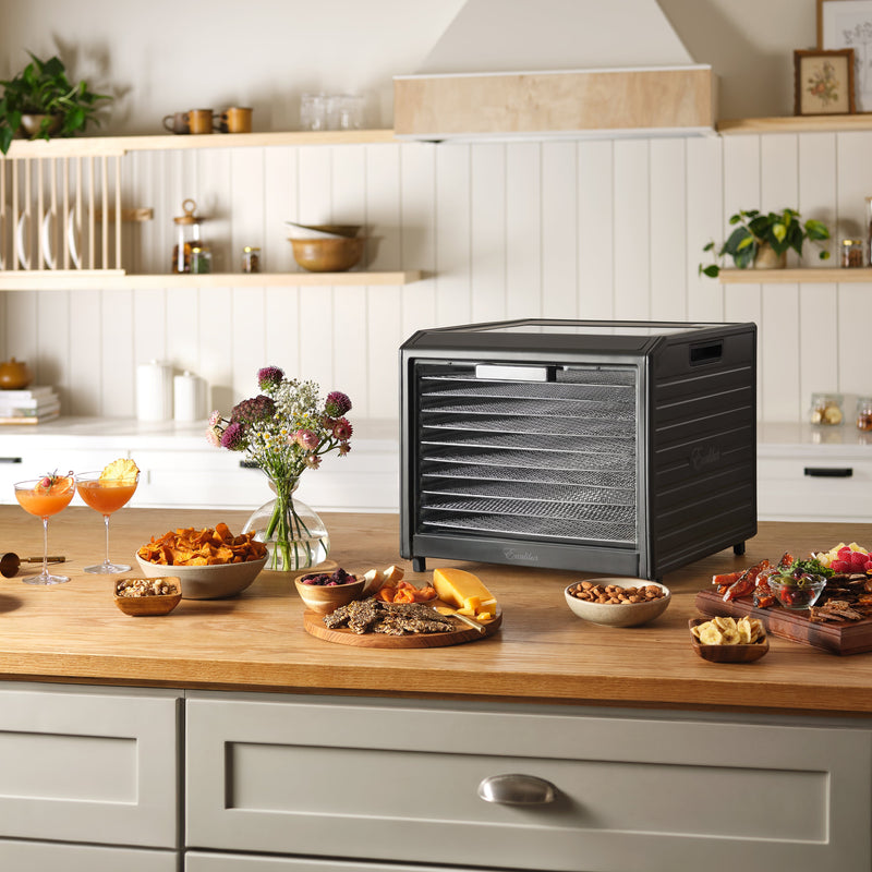Excalibur 10 Tray Performance Digital Dehydrator, in Stainless Steel Excalibur