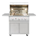 Summerset QST36 Quest Series 36 - Inch 54,000 BTU 3 - Burner Freestanding Gas Grill with Deluxe Cart - CulinaryProfis