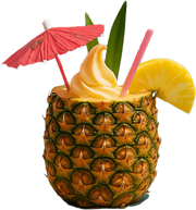 TikiCup Pineapple Corer - CulinaryProfis