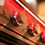 TrueFlame 32 Inch 4 Burner Built - In Gas Grill - CulinaryProfis