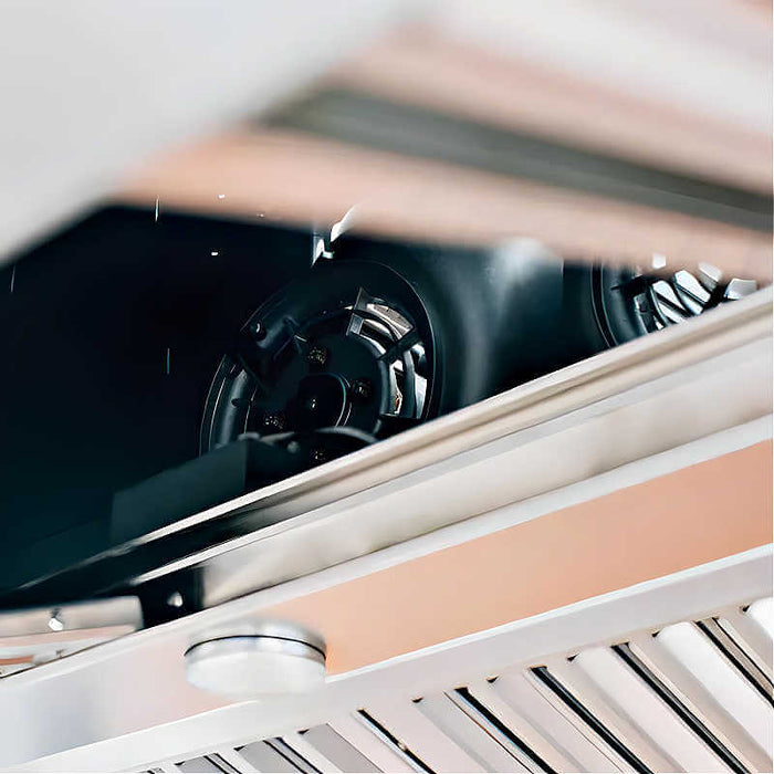 TrueFlame 36 Inch 1200 CFM Outdoor Rated Vent Hood - TF - VH - 36 - CulinaryProfis