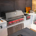 TrueFlame 40 Inch 5 Burner Built - In Gas Grill - CulinaryProfis