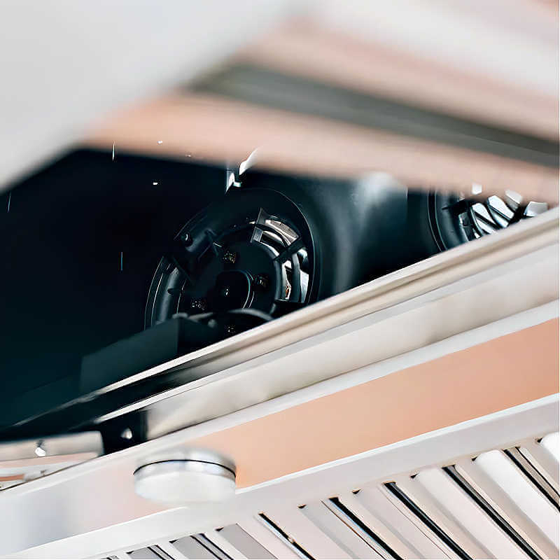TrueFlame 48 Inch 2000 CFM Outdoor Rated Vent Hood - TF - VH - 48 - CulinaryProfis