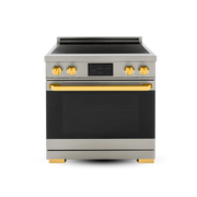 30″ Professional Induction Range – VEGA Edition Induction Hardware