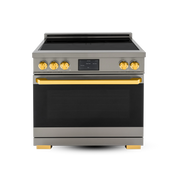 36″ Professional Induction Range – VEGA Edition Induction Hardware