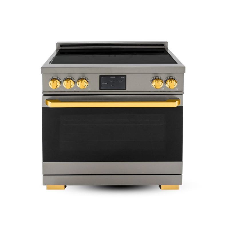 36″ Professional Induction Range – VEGA Edition Induction Hardware