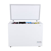 Avanti 10.0 cu. ft. Garage Ready Convertible Chest Freezer Avanti Products, LLC